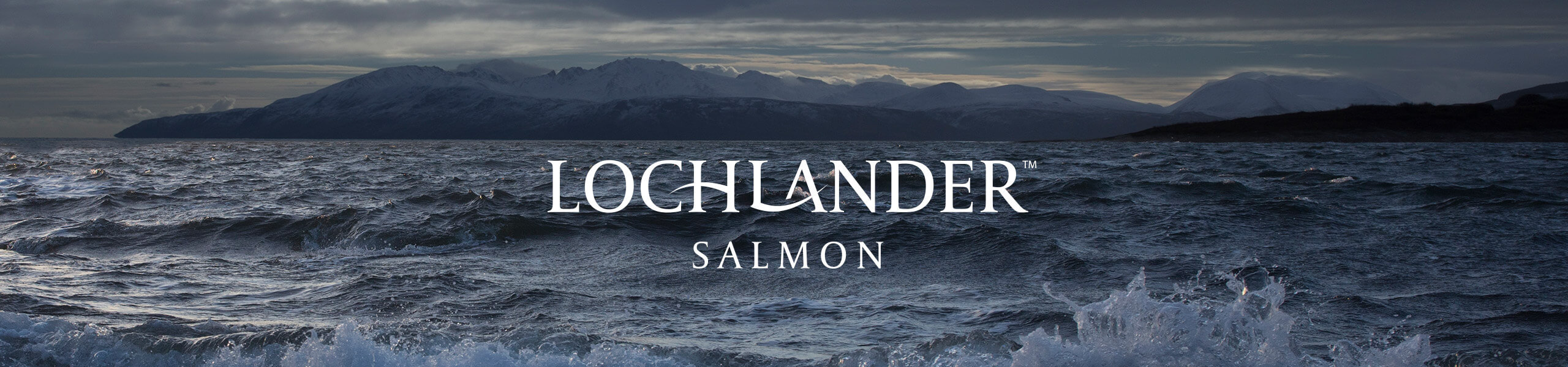 scottish seascape in moody tones