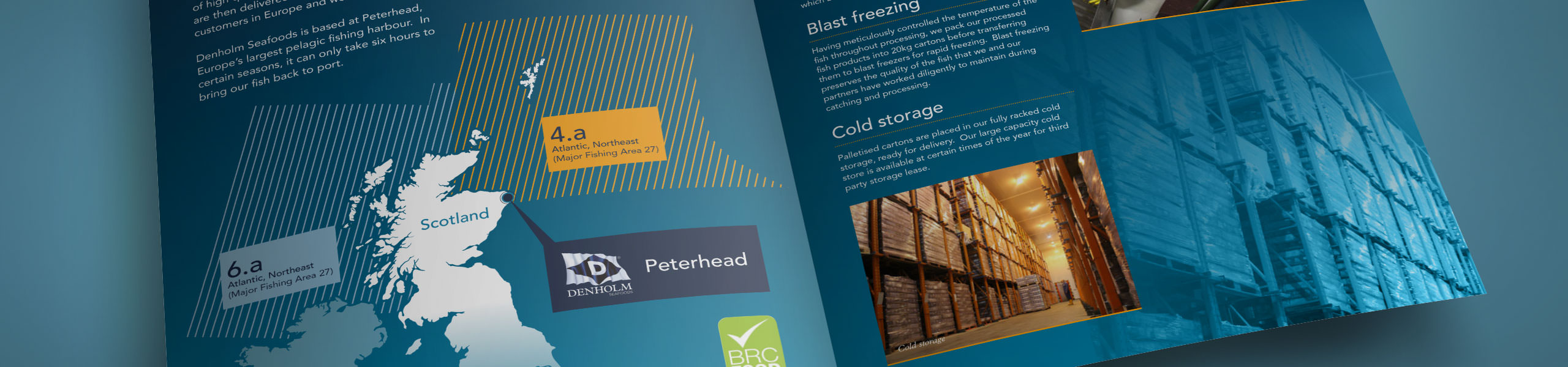 brochure spread for Denholm Seafoods